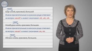 3 класс Изменение имён прилагательных по родам и числам