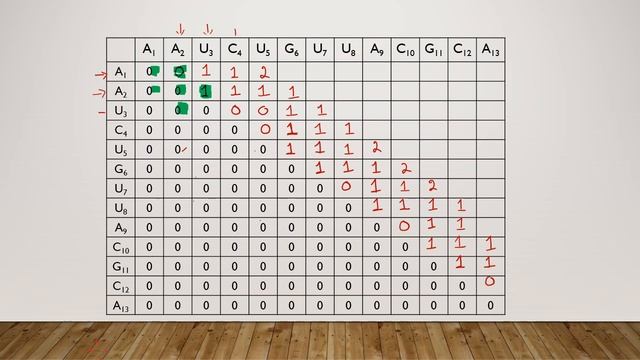 Nussinov Algorithm in bioinformatics - RNA Secondary Structure Prediction смотреть онлайн