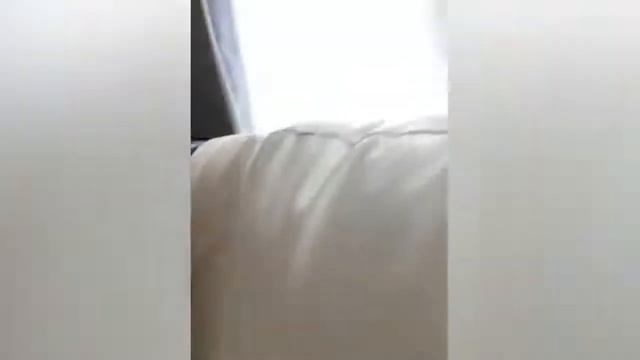 СМЕШНЫЕ КОТЫ 2022 И ДРУГИЕ ЖИВОТНЫЕ 😼 ПРИКОЛЫ С КОТАМИ №1 смотреть онлайн