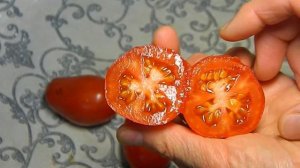 Томат Чудо лентяя. Тест спелых плодов.