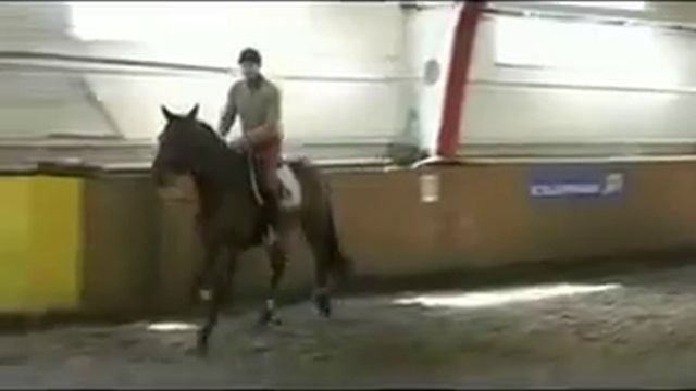 Конкур. Джордж Моррис в седле. Посадка. смотреть онлайн