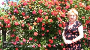 ФОРМИРУЕМ ПЛЕТИСТУЮ РОЗУ