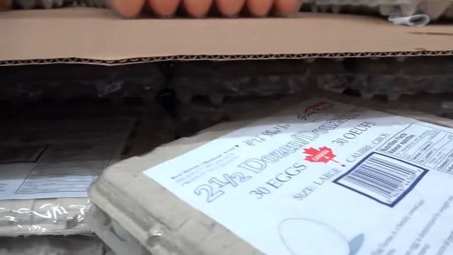 Магазин COSTCO ЦЕНЫ НА ПРОДУКТЫ в Канаде Оптовый магазин обзор | Жизнь в Канаде смотреть онлайн