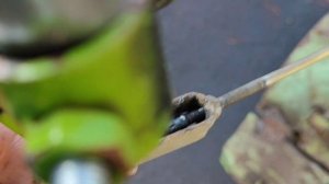 Тяжелый дизельный мотоблок спустя пол года. Выявили все слабые места. Что нужно ремонтировать с нол