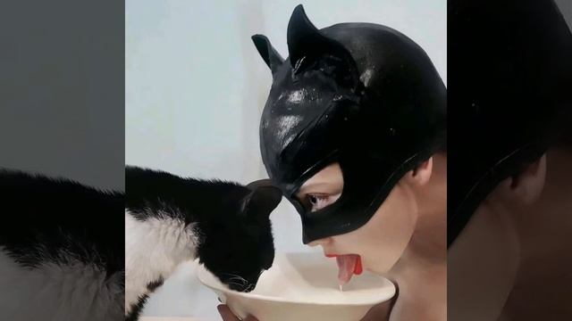 Караван плана (Remix) смотреть онлайн