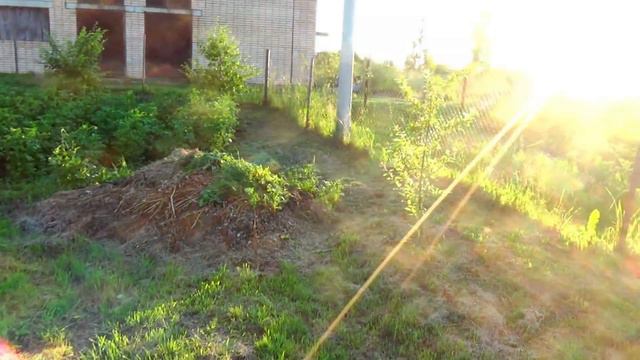 Наш сад и огород. смотреть онлайн