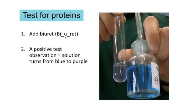 Module 2 ENTIRE TOPIC: cells, biological molecules, enzymes, membranes cell division. смотреть онлайн