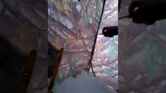 Рыбалка в Андреевке смотреть онлайн