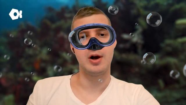 Iron Fish — это платформа для конфиденциальности web3 смотреть онлайн