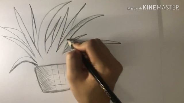 How to drawing shrubs смотреть онлайн