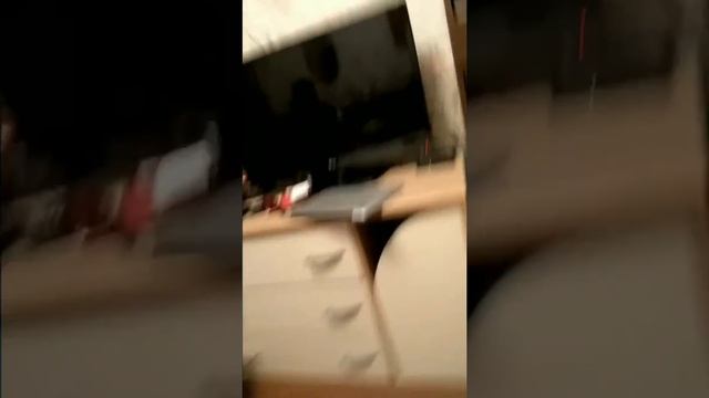 Боец UFC нажрался и уронил Мона Лизу смотреть онлайн