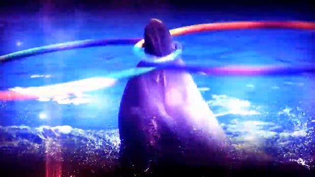 Дельфинарий Акварель Алушта смотреть онлайн