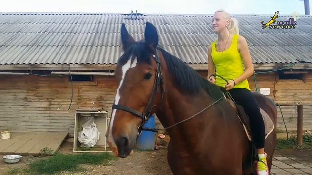 Конь и девушка смотреть онлайн