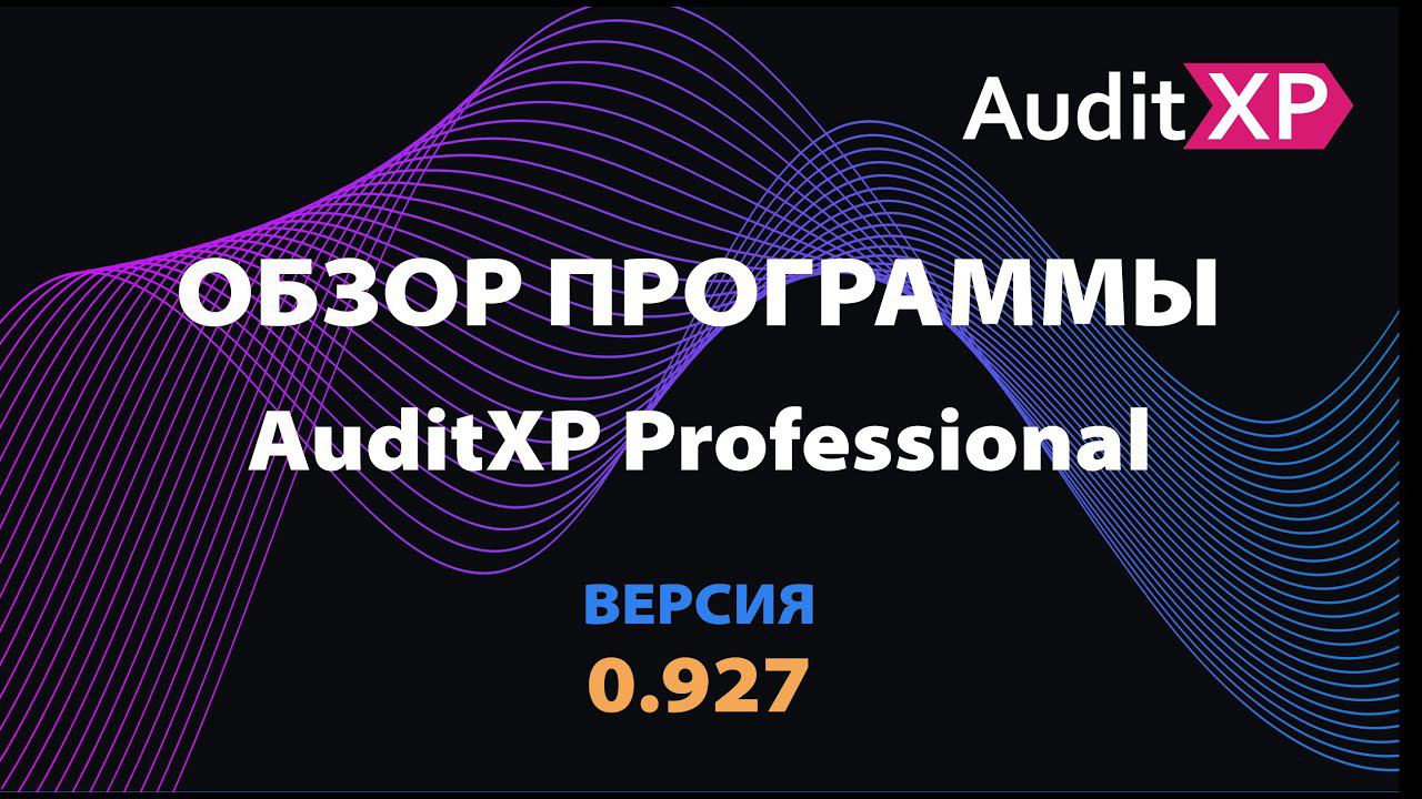 Автоматизация аудита в AuditXP Professional смотреть онлайн