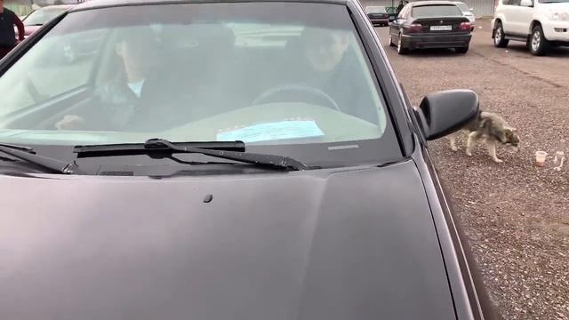 АВТО БАЗАР / БАРЫС / КӨЛІК БАҒАЛАРЫ 28.03.2021 смотреть онлайн