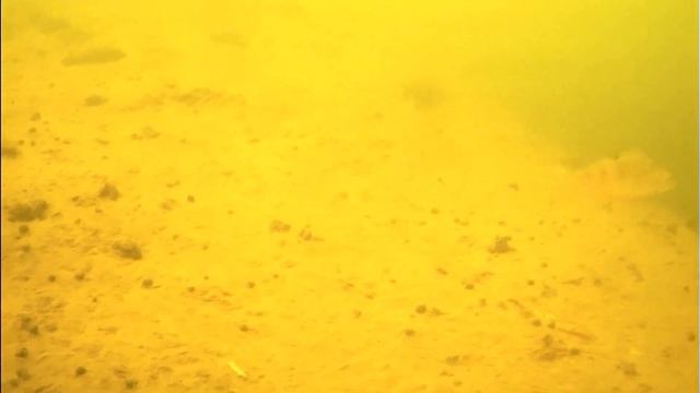 Открытие зимнего сезона в Бутаковском заливе 01.12.2022 смотреть онлайн