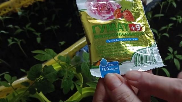 По 1 ч.л под рассаду после пикировки в Апреле. Рассада перцев и томатов отблагодарит ростом. смотреть онлайн
