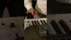 Шамиль Кашешов - Казанова