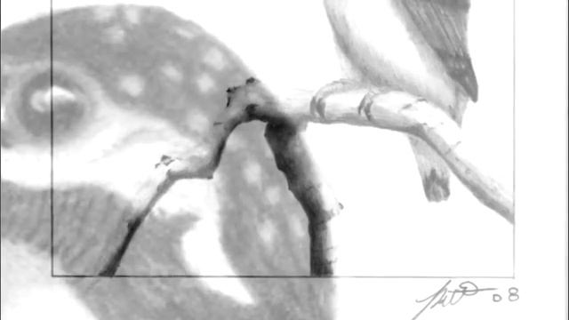 The Kingfisher - Graphite Drawing смотреть онлайн
