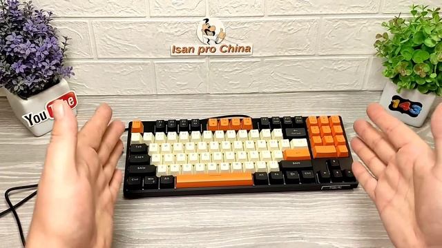 Игровая Клавиатура с Aliexpress ! Обзор Механической клавиатуры Havit HV-KB487L ! смотреть онлайн