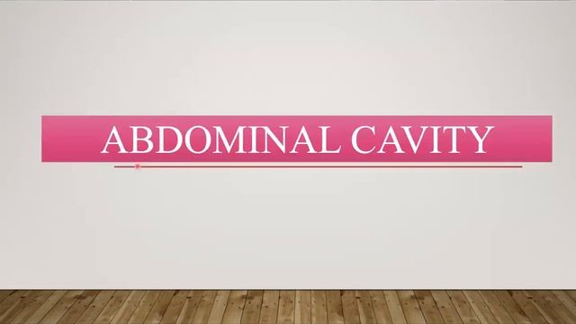 GIT Revision II смотреть онлайн