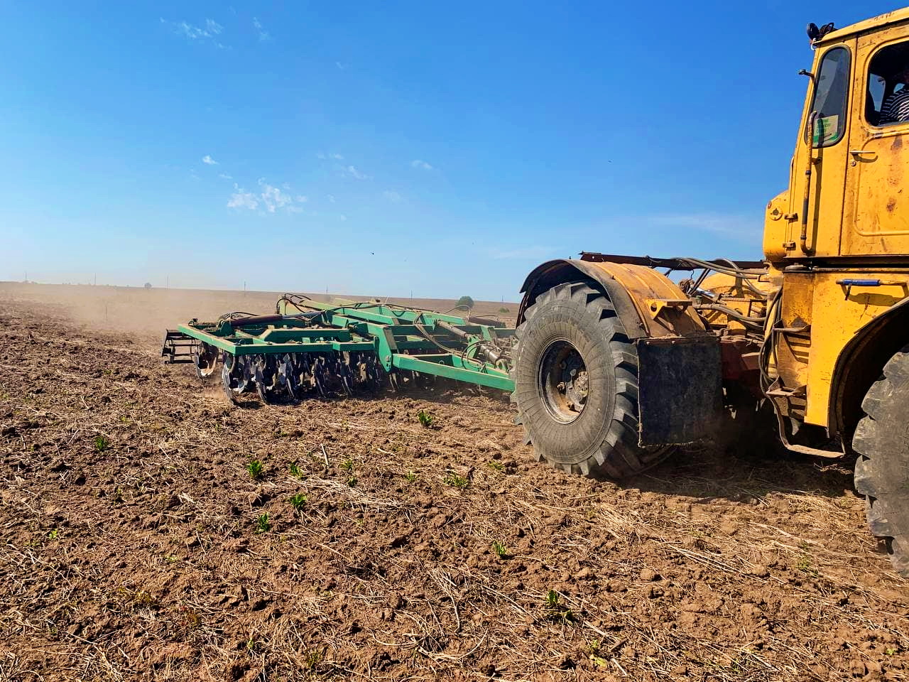 Борона дисковая БДМ 6х4 ПС в работе на тракторе К 700 смотреть онлайн