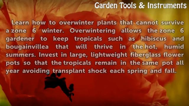 Zone 6 Planting Guide смотреть онлайн
