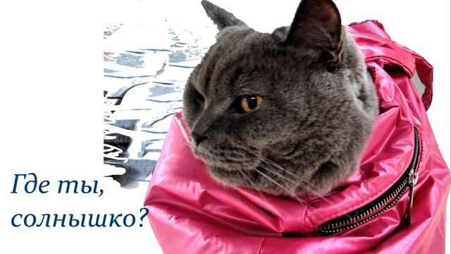 Где ты, солнышко? смотреть онлайн