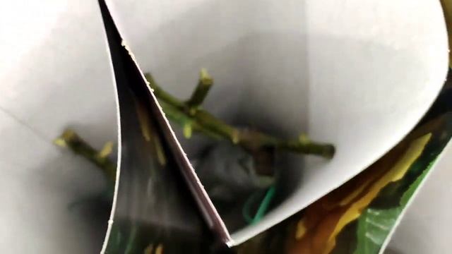 РОЗЫ В КОРОБКАХ.Ассортимент ЛЕРУА.30.01.2022. смотреть онлайн