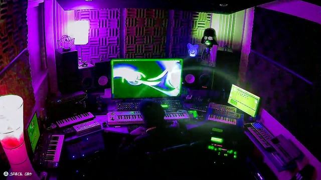 Space Cat Live 2021 смотреть онлайн