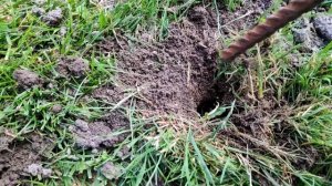 Борьба с кротами.  Как выгнать крота с дачного участка.