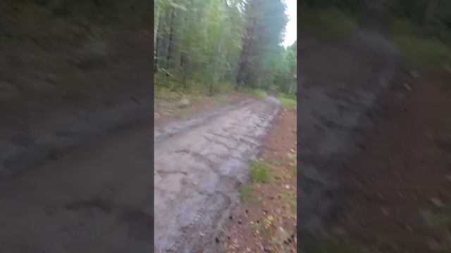 парю кнайт 80 смотреть онлайн