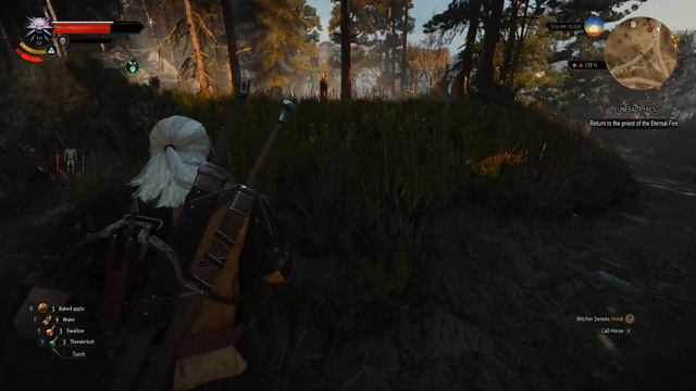 LP - [ The Witcher 3: Wild Hunt ] - [ 3р Анги ] смотреть онлайн