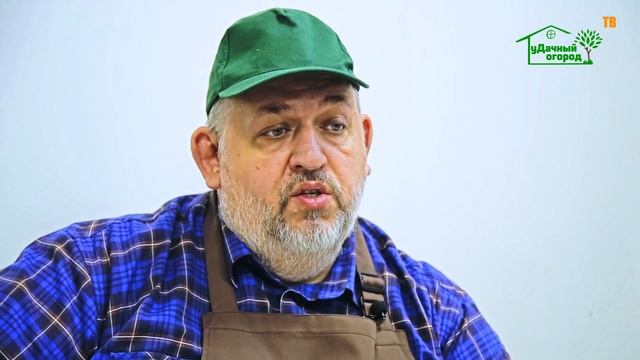 Тимьян. Как вырастить из семян? Обзор. смотреть онлайн