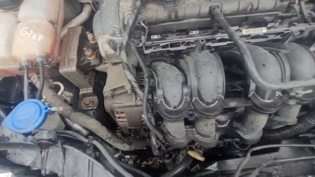 G248 Ford Focus 2011, 1.6, бензин, МКПП смотреть онлайн