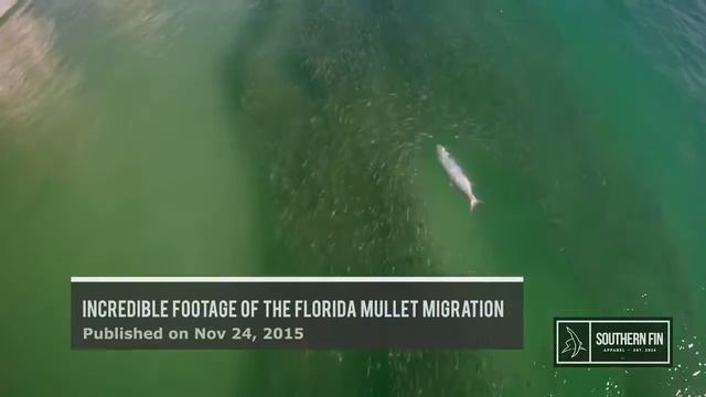 Top 10 Best Fishing Clips Of 2015