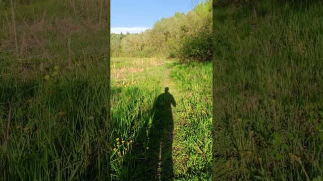 Подловили немного карасика