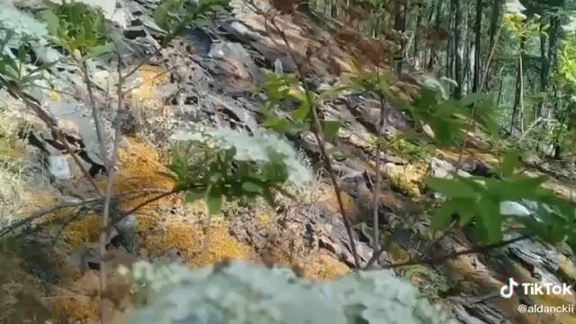 река томпо смотреть онлайн