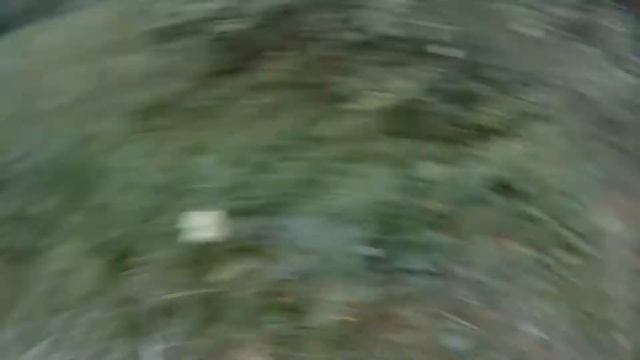 Биотехния Заготовка сена для косуль, лосей, зайцев Закладка сена в кормушку смотреть онлайн