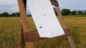 Сайга 20 с , тест пуль ШШ 20к на 60 м. ствол цилиндр , парадокс . С оптикой . ширинского шихматова