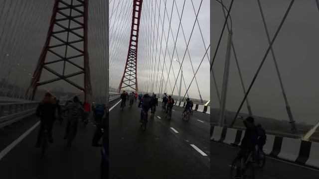 Открытие бугринского моста в Новосибирске смотреть онлайн
