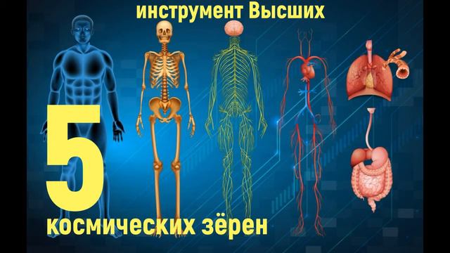 5 космических зёрен , почему люди стареют смотреть онлайн