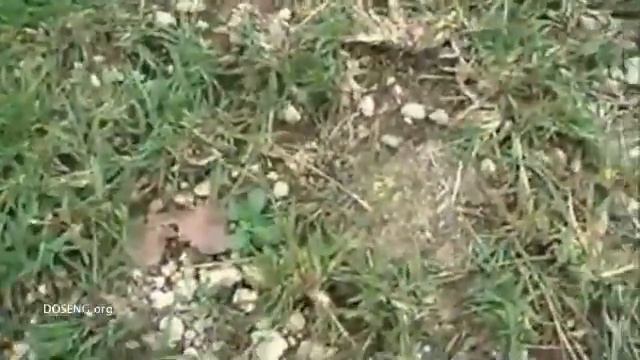 Не надо было это делать