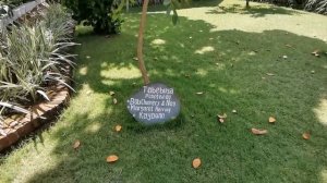 SOL By Melia Benoa Bali All Inclusive