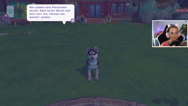 Auf den Hund gekommen ? Little Friends Puppy Island | 01 смотреть онлайн