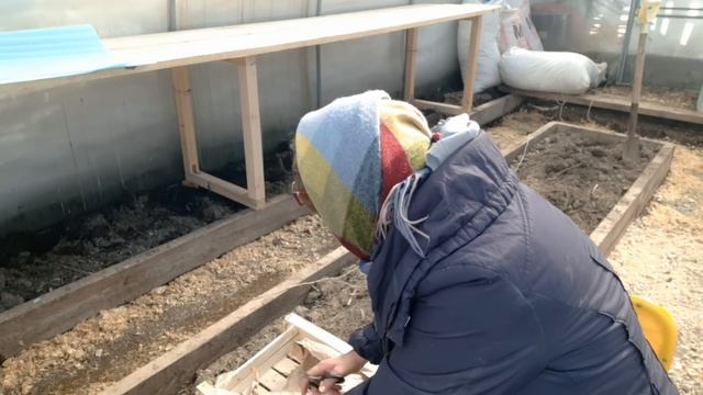 Еще 20 лет я буду таскать эти железяки!!!? Сажаю землянику фриго?. смотреть онлайн