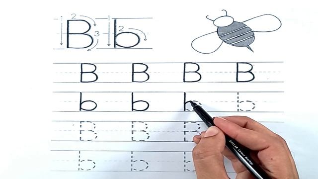 Tracing | Tracing Letter B | Practice Writing Letter B | Tracing Letters For Kids смотреть онлайн