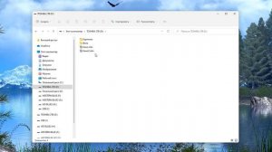 Как перенести файлы на USB флешку.Как скопировать данные на накопитель