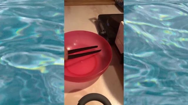 Вкусные обеды от Аллы