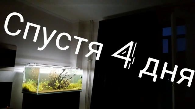 УФ стерилизатор. Работа в течение 4х суток смотреть онлайн